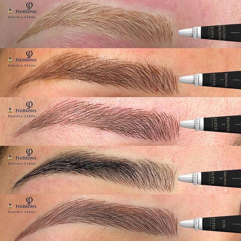 5 eyebrows showing the different shades of pigment, by Daniela Cerda 5 eyebrows showing the different shades of pigment, by Daniela Cerda
